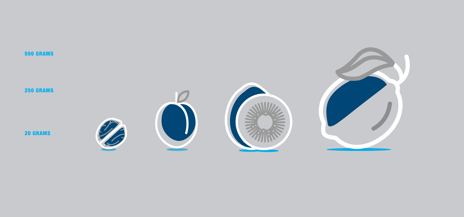 An illustration showing different sizes of a male prostrate